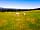 Severn Valley Alpacas