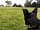 Walnut Tree Meadow Camping: Plenty of space for all the family (photo added by manager on 02/12/2020)