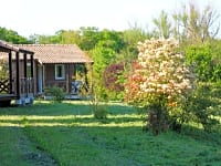 Plein d'espaces devant les chalets pour jouer Plein d'espaces devant les chalets pour jouer