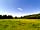 Bury Hill Farm: Adjoining field (photo added by manager on 22/07/2021)