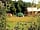 The Hideaway at Baxby Manor: Peaceful setting