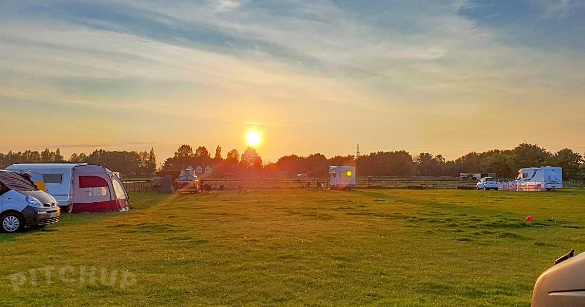 Snooks Farm Alpacas, Ferndown
