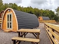 Pod prêt-à-camper Monkey Puzzle