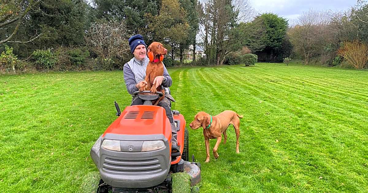 Burrow Farm Camping, Truro Precios de 2024 actualizados