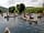 Wye Tipi Camping: Canoeing on the River Wye