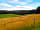 Loscombe Farm: View from our pitch