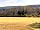 Croquet Lawn Camping at Court Farm: A 10-minute walk to the Blue Lake where you can swim, row or picnic
