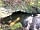 Gateway To The Moors Caravan Park: The underground cave at the bottom of the site