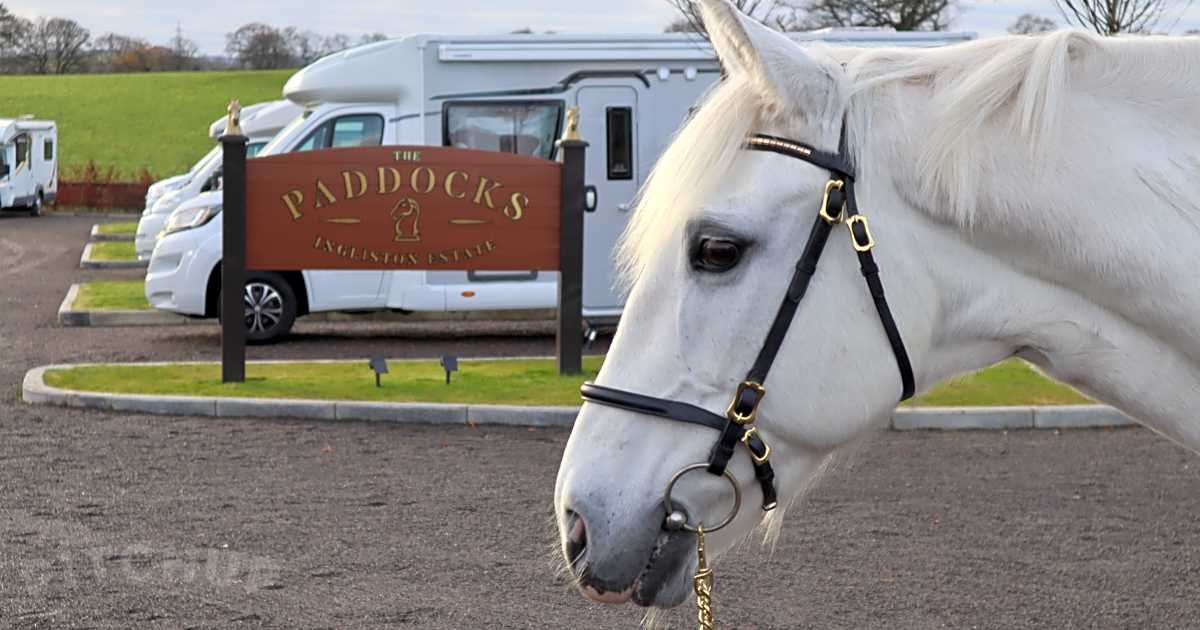 The Paddocks Motorhome and RV Site, Updated 2024 prices