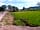Tip Top Campsite