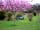 Springwood Fisheries