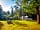 Abbey Wood Experience Freedom Glamping