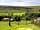 Wharfe Camp: View the other way