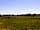 Somerset Reindeer Ranch: Pitching field