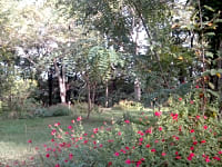 Touring pitches can be made of grass of a mix of grass and gravel Touring pitches can be made of grass of a mix of grass and gravel