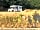 Andark Lake: Plot 1 for motorhomes overlooking lake