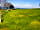 Watermouth Valley Camping Park