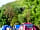 The Quiet Site: Spacious pitches sheltered by trees