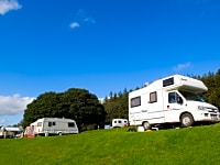 Electric grass pitches Electric grass pitches