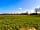 Pitch on the Wall Campsite: Grassy pitches