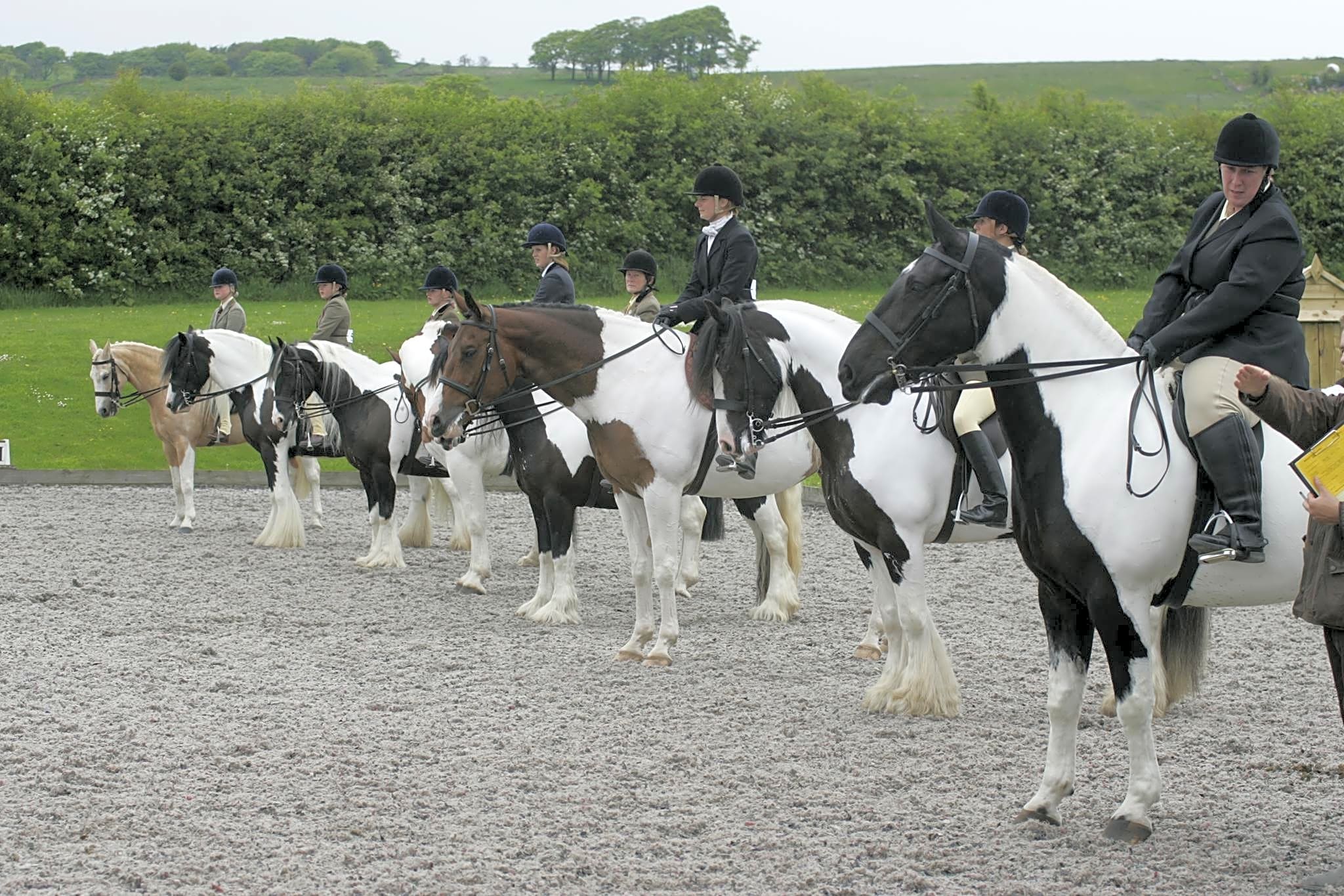 Beaver Hall Equestrian Centre, Leek Pitchup®