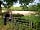 Clayford Field: Cows smelt our BBQ! (photo added by natasha_n172944 on 01/09/2018)