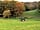 Heath Hall Farm: View of the farm (photo added by manager on 12/02/2019)