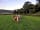 Allercott Farm: Finding sticks for the fire