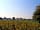 Manor Farm Caravan Park