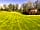 Muster Point Campsite: Camping field and toilet block (photo added by manager on 24/04/2023)