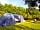 Goodwins Farm: Our tent and pitch
