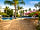 Barlings Beach Holiday Park: Palm-lined pool (photo added by manager on 21/09/2023)