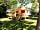 Camping La Fritillaire