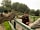 Port Lympne Reserve: Rhino and one of our rangers