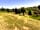 The Racecourse Retreat