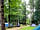 Alpine Grove Touring Park: Camping pitches set under mature trees