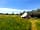 Pickney Farm: Meadow