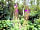 Fire and Stars Woodland Camping