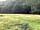 Dolwen Riverside Camping