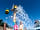 Lady's Mile Holiday Park: Outdoor pool