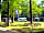 Alpine Grove Touring Park: Sunny pitches and picnic tables