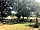 Oak Lodge Glamping: Wooded copse (photo added by manager on 25/06/2018)