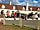 Rockridge (фото добавлено peter_d192036 28.08.2022)