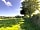 Woodhouse Farm: Roadside hedge line