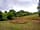 The Chicken House: Camping field (photo added by manager on 30/06/2023)