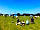 The Old Stables Campsite