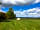 Bonnybridge Eco Camping and Glamping: Plenty of greenery