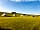Dewflock Farm