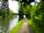 Hurley Riverside Park: The location is ideal for walkers as you can access the Thames Path directly