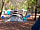 Camping L'Ultima Spiaggia